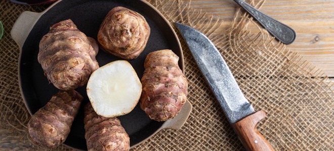 Topinambur w kuchni - co to za warzywo i jakie przepisy warto znać?